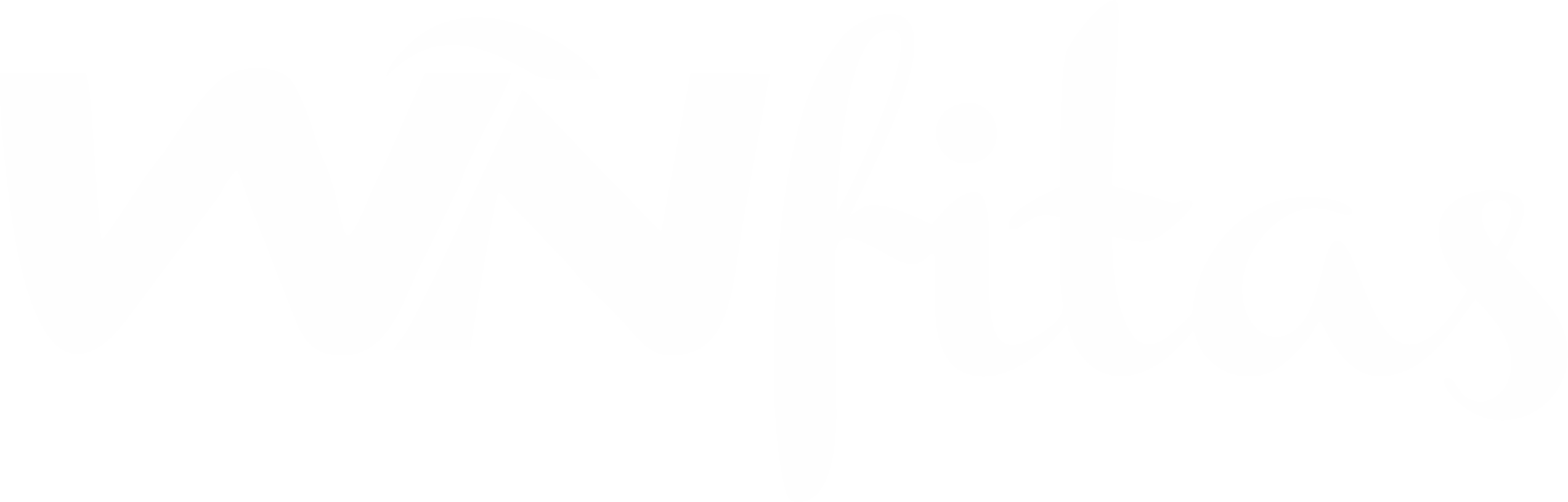 WNfitas Logo